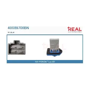 40089700BN REAL