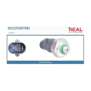 8022520PBN REAL