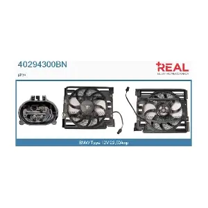 REAL 40294300BN