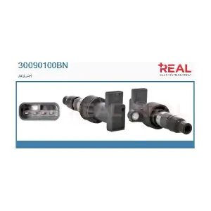30090100BN REAL