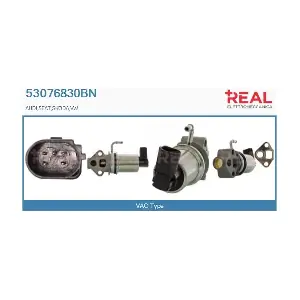 REAL 53076830BN