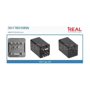30176010BN REAL