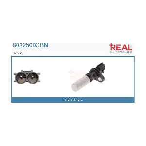 8022500CBN REAL