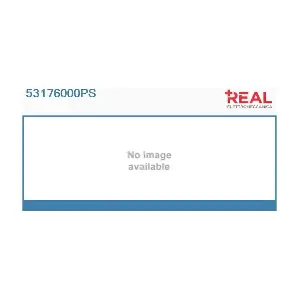 53176000PS REAL