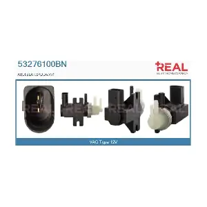 REAL 53276100BN