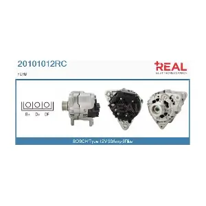 REAL 20101012RC