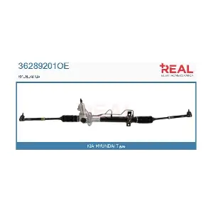 36289201OE REAL