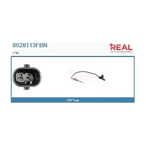 8028113FBN REAL
