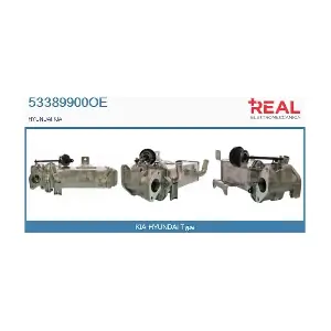53389900OE REAL