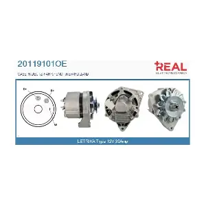 REAL 20119101OE