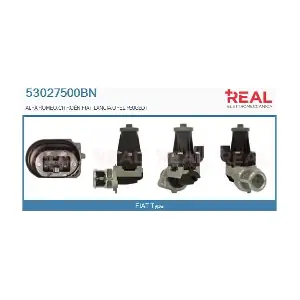 REAL 53027500BN