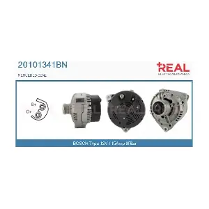 20101341BN REAL