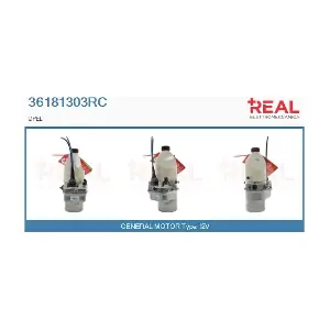 36181303RC REAL