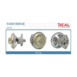 53081600OE REAL