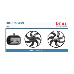 40281523BN REAL