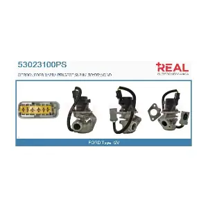 53023100PS REAL