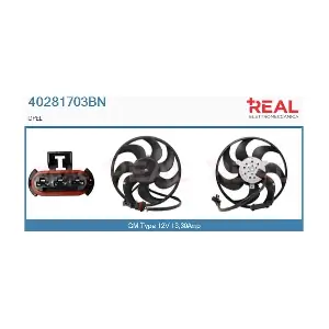 40281703BN REAL