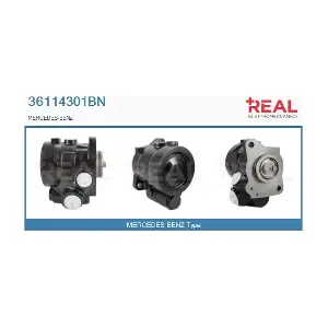 REAL 36114301BN