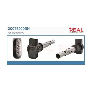 REAL 30076500BN
