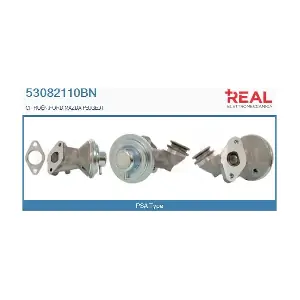 REAL 53082110BN