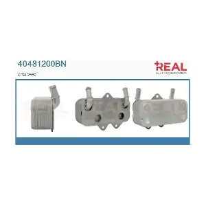 REAL 40481200BN