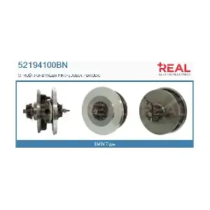 52194100BN REAL