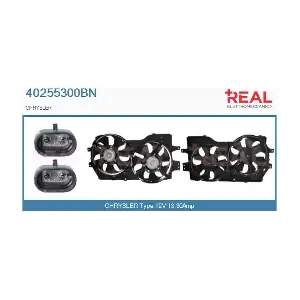40255300BN REAL