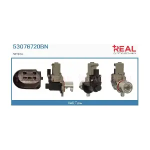 REAL 53076720BN