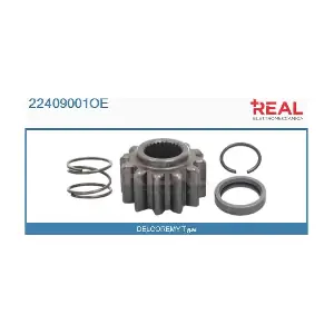 REAL 22409001OE
