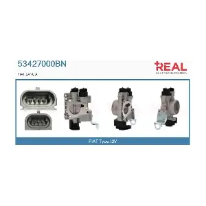 REAL 53427000BN