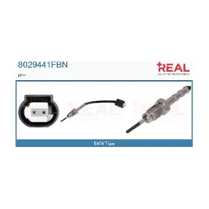 8029441FBN REAL