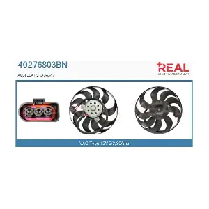 40276803BN REAL