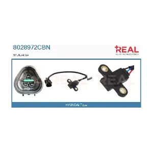 8028972CBN REAL
