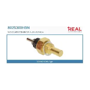 8025300HBN REAL