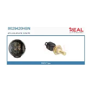 8029420HBN REAL