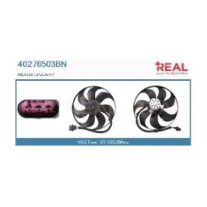 40276503BN REAL