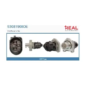53081900OE REAL