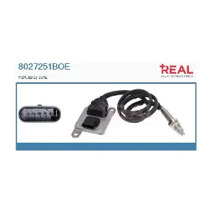 8027251BOE REAL