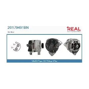 REAL 20179491BN