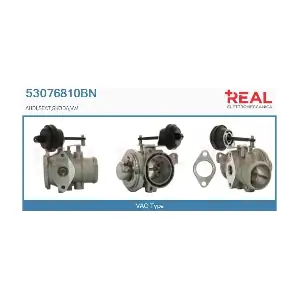 REAL 53076810BN