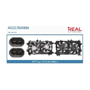 REAL 40227840BN