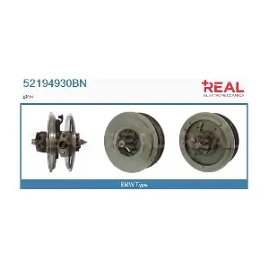 REAL 52194930BN