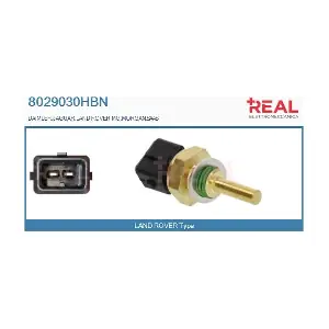 8029030HBN REAL