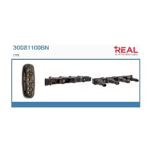 30081100BN REAL