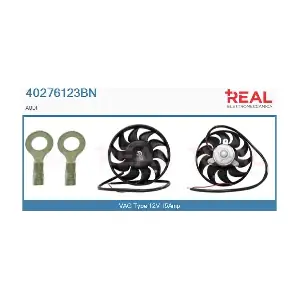 40276123BN REAL
