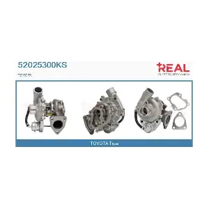 52025300KS REAL