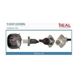 53081020BN REAL