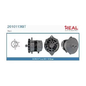REAL 20101136IT