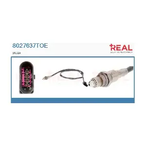 8027637TOE REAL