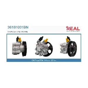 36181031BN REAL